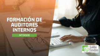 Auditor Interno